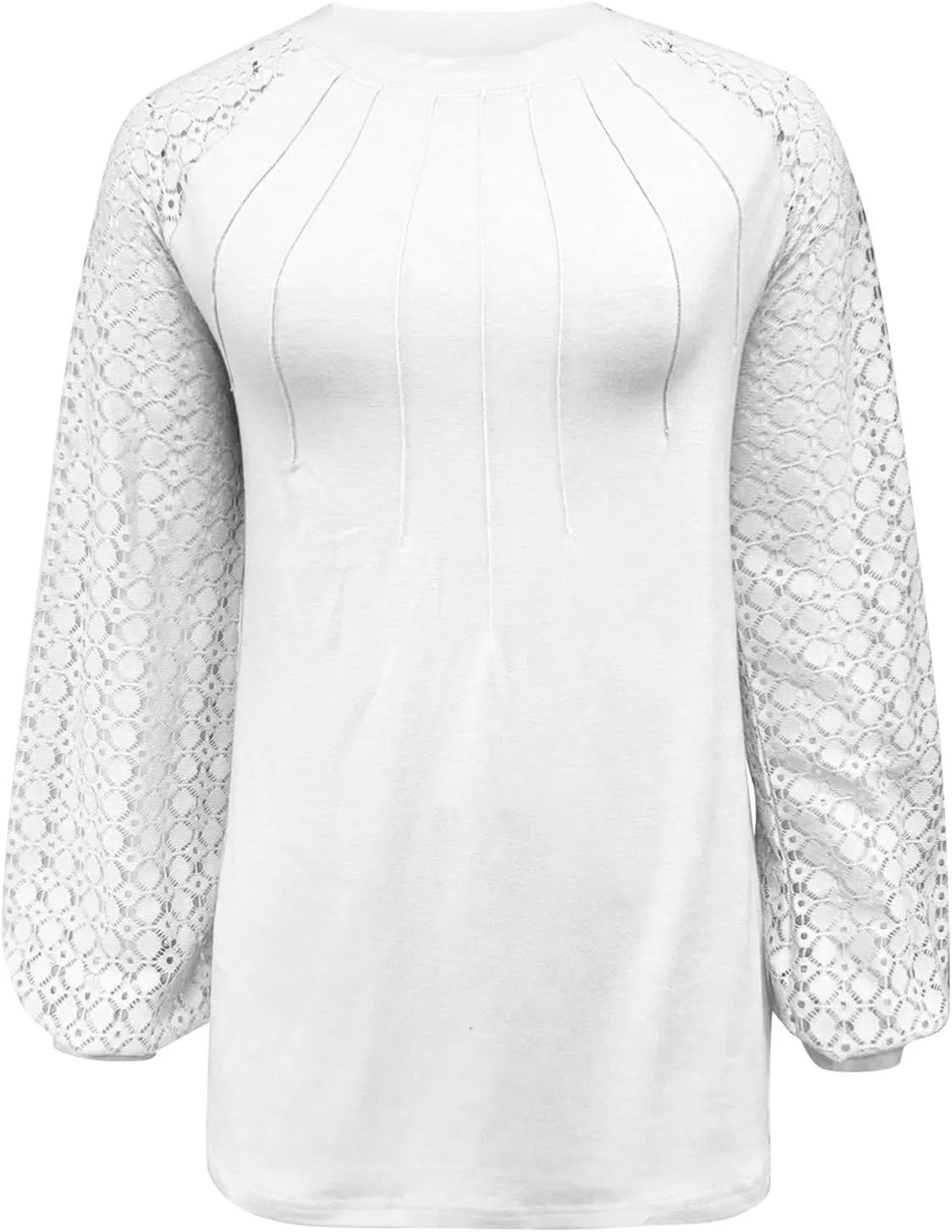 Women's Dressy Work Blouse Lace Embroidered Long Sleeve Pleated Crewneck Tunic Tops Daily Fashion Business Work Blouse